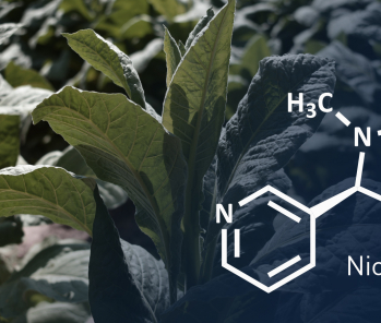 Thérapie de substitution à la nicotine