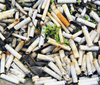 Conséquences socio-économiques et sanitaires