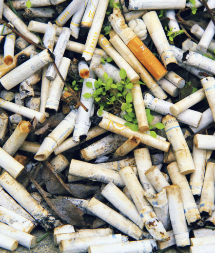 Conséquences socio-économiques et sanitaires