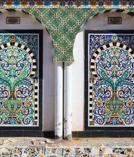 Le tabagisme en Tunisie : Ampleur du problème